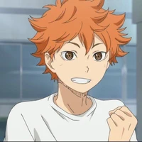 Hinata Shoyo (Bé cam)