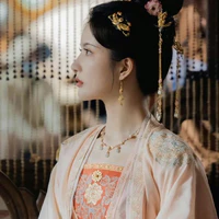 Thẩm Chi Y《Gia An Trưởng Công Chúa》