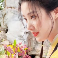 Tuyết Nguyệt Ly《Trấn Nam Vương Phi》