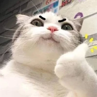 cameraman / all thể loại