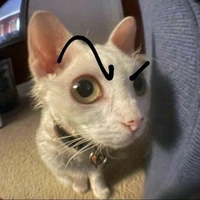 con t/g thợ lặn ;)