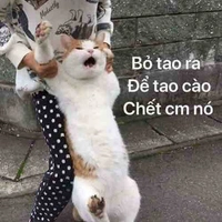 Cô hiệu trưởng:))