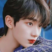 Đinh Trình Hâm