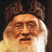 Dumbledoor