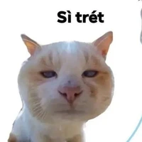tác giả