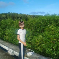 lam bình