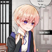 Trần thu y