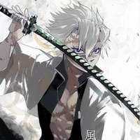 Shinazugawa Sanemi