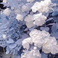 Chấp mọi vai diễn