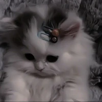 Meow