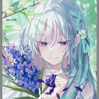 Alimi y/n