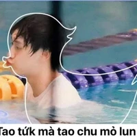 Chuchu nèe