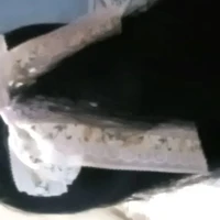Ruiiz (Trucc)