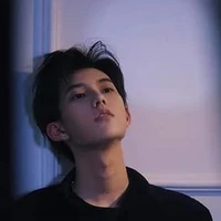 Lẫm Vũ Khải - vir