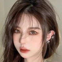 Du Suyễn Ái - ari