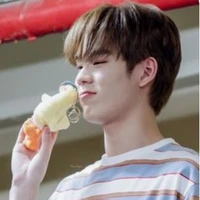 Ping ( thụ )