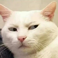 Tác giả chuche không muốn nói?