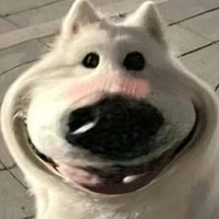 tác giả bị xàm nè:9