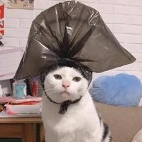 t/g