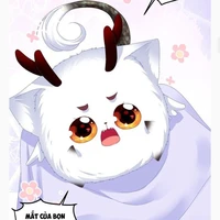 Miêu Miêu