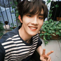 Tô Tân Hạo