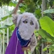 bà dê