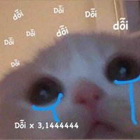 T/g