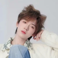 Hạ Tuấn Lâm