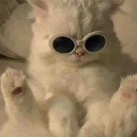 Cobe ngây thơ 😇 {tg}