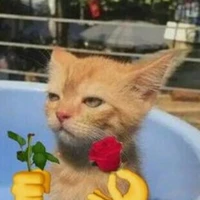 tất cả hs