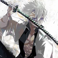 Shinazugawa Sanemi | Phong Trụ