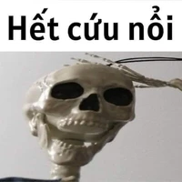 Nvp