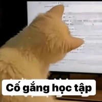 Tác giả thích ngược