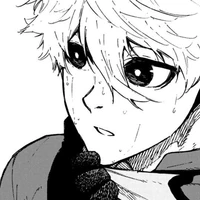 Nagi Seishirou