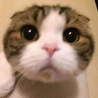 nhân vật phụ (nữ)