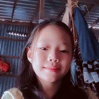 tác giả 