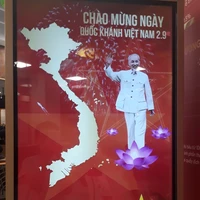 dân 🇻🇳🇻🇳🇻🇳