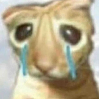 Tác giả dô trizzz😵‍💫