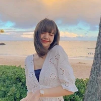vựa múi wie(tg)