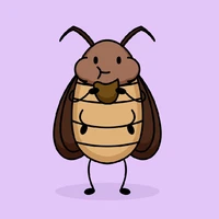 dzán xì ke