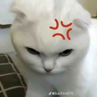 Quần chúng