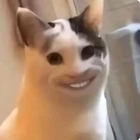 cmichh-(tác giả)