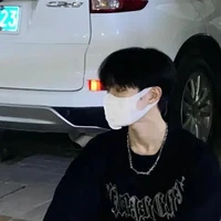 Đào Thái Hà¹