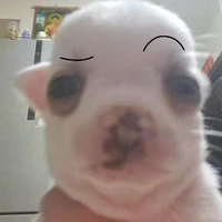 giọng nói bí ẩn