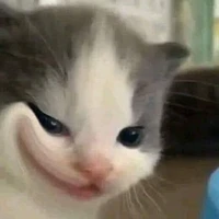 tui là tác giả:)