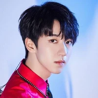 Hạ Tuấn Lâm