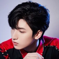 Nghiêm Hạo Tường