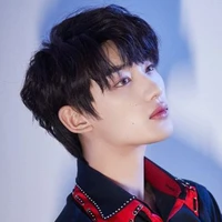 Đinh Trình Hâm