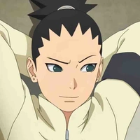 Nara Shikadai