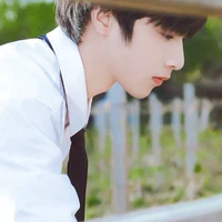 Lưu Diệu Văn